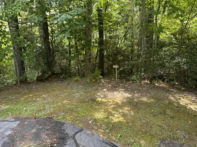 TBD Whisper River Court Cashiers, NC 28774