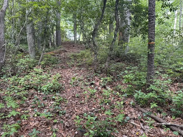 TBD Whisper River Court Cashiers, NC 28774