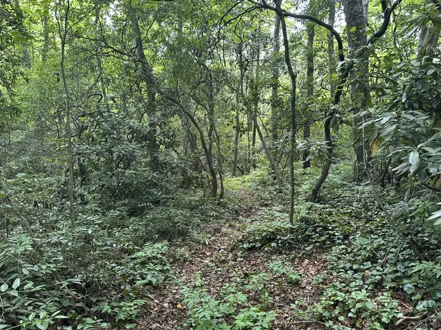 TBD Whisper River Court Cashiers, NC 28774