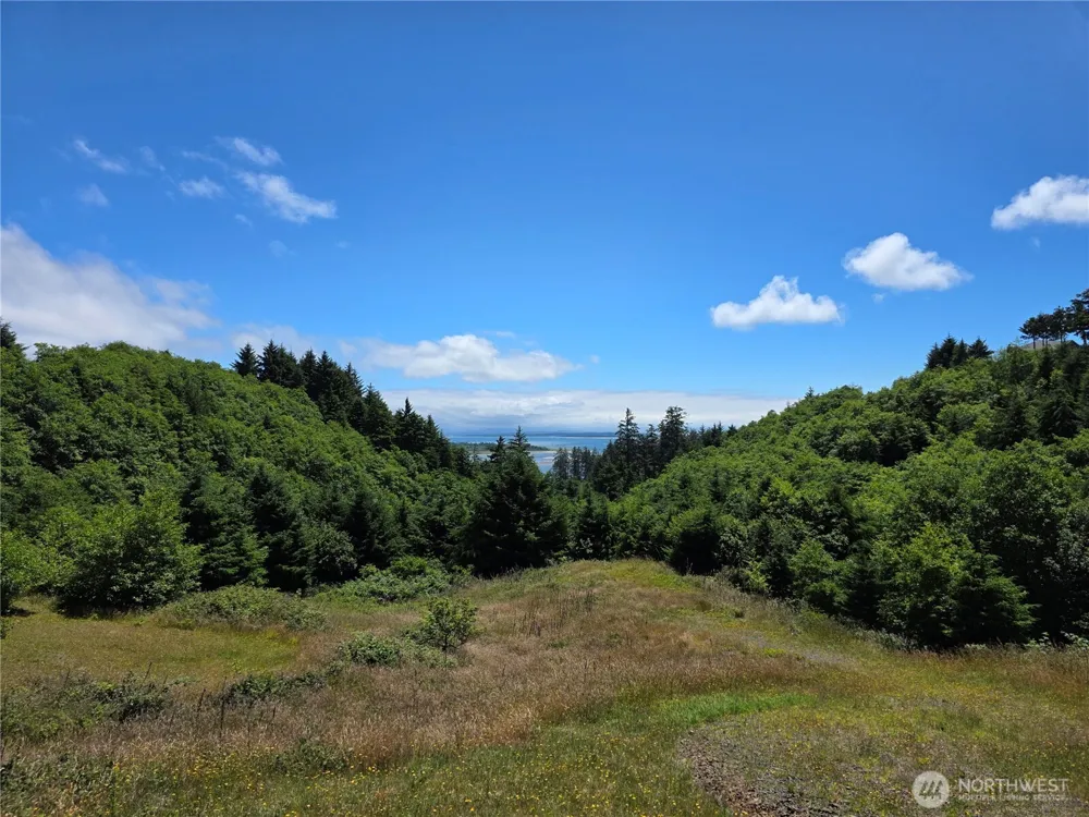 31 XX Discovery Court Ilwaco, WA 98624