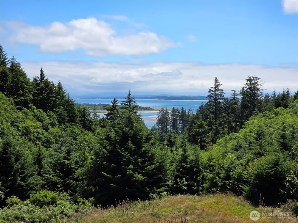 31 XX Discovery Court Ilwaco, WA 98624