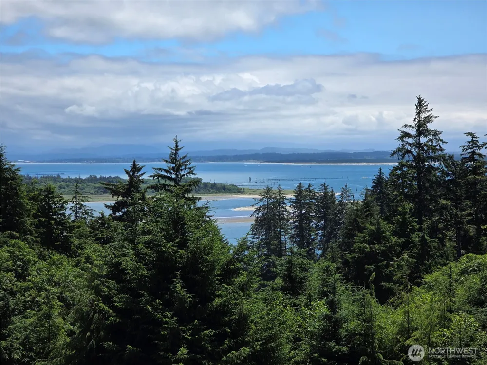 31 XX Discovery Court Ilwaco, WA 98624