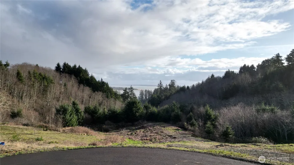 31 XX Discovery Court Ilwaco, WA 98624