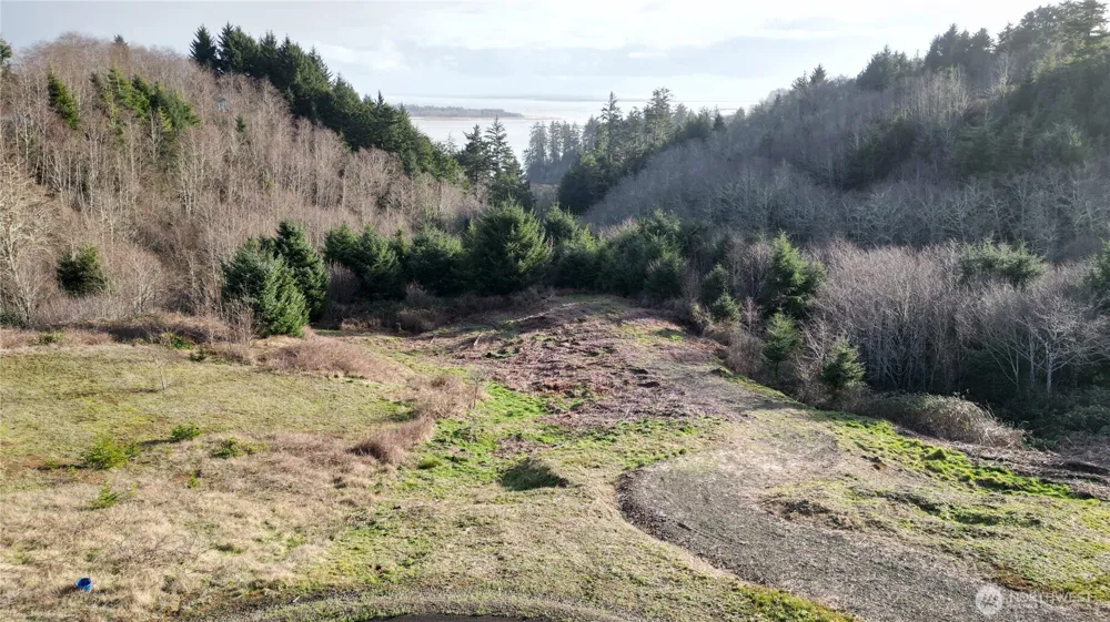 31 XX Discovery Court Ilwaco, WA 98624