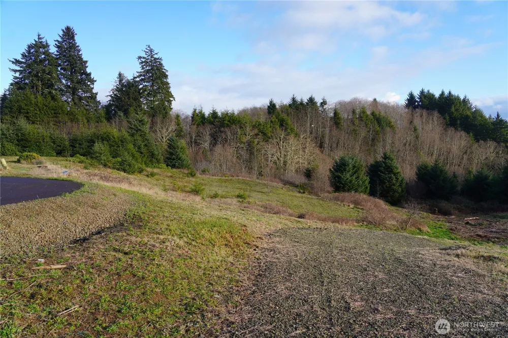 31 XX Discovery Court Ilwaco, WA 98624