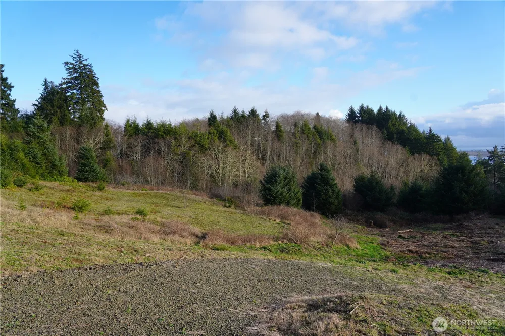 31 XX Discovery Court Ilwaco, WA 98624