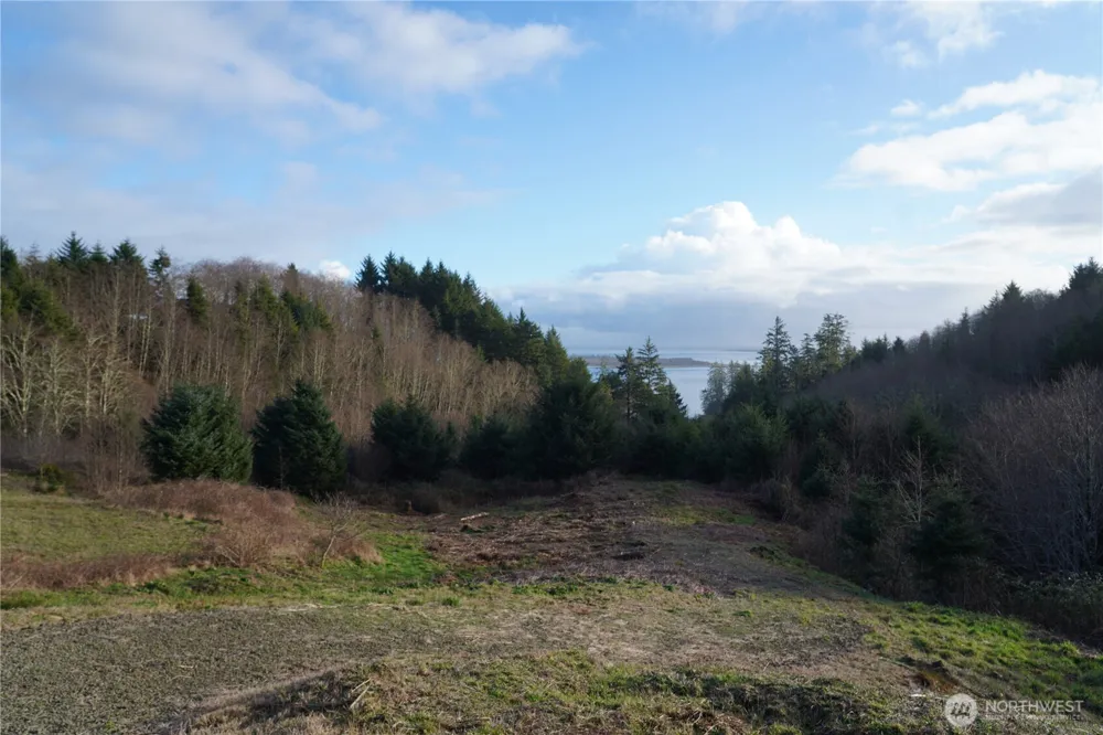 31 XX Discovery Court Ilwaco, WA 98624