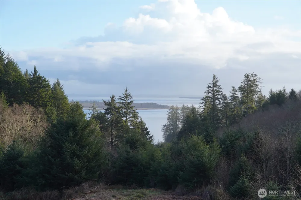 31 XX Discovery Court Ilwaco, WA 98624