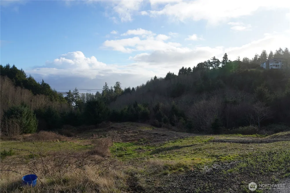 31 XX Discovery Court Ilwaco, WA 98624