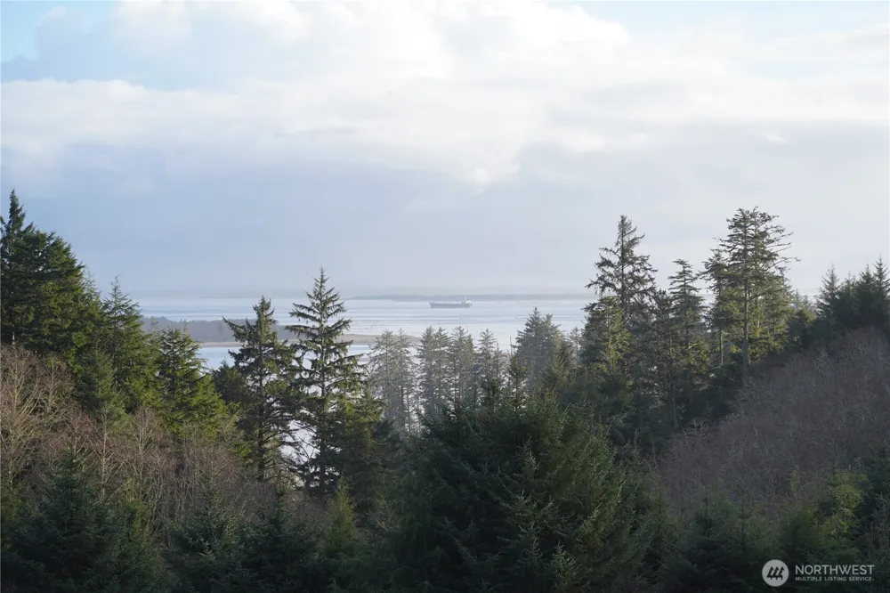 31 XX Discovery Court Ilwaco, WA 98624