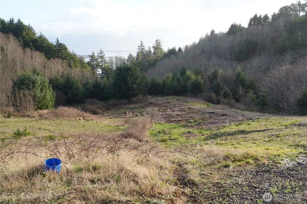 31 XX Discovery Court Ilwaco, WA 98624