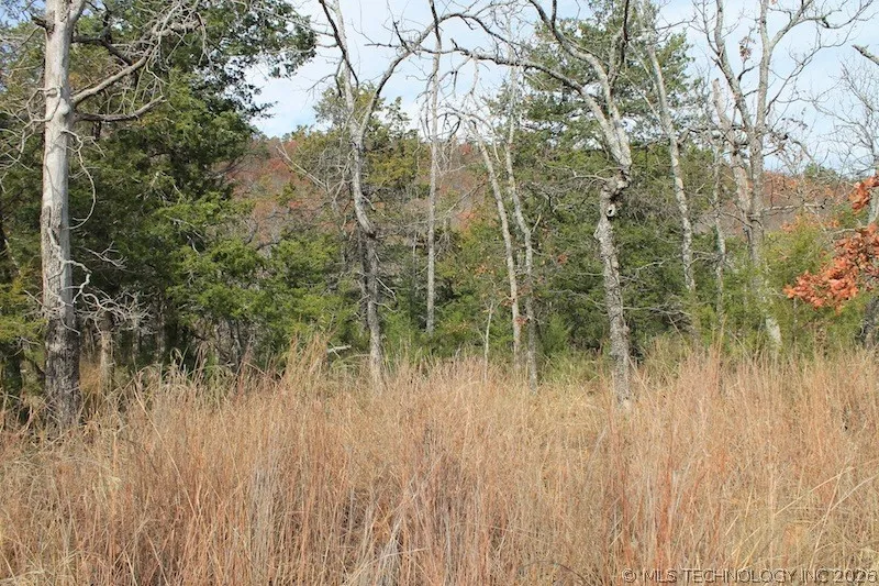 Indian Ridge Pittsburg, OK 74560