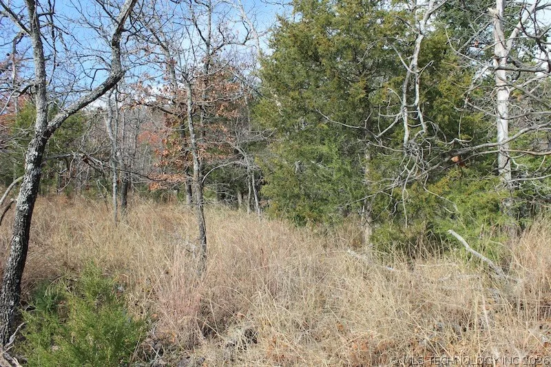 Indian Ridge Pittsburg, OK 74560