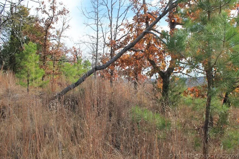 Indian Ridge Pittsburg, OK 74560