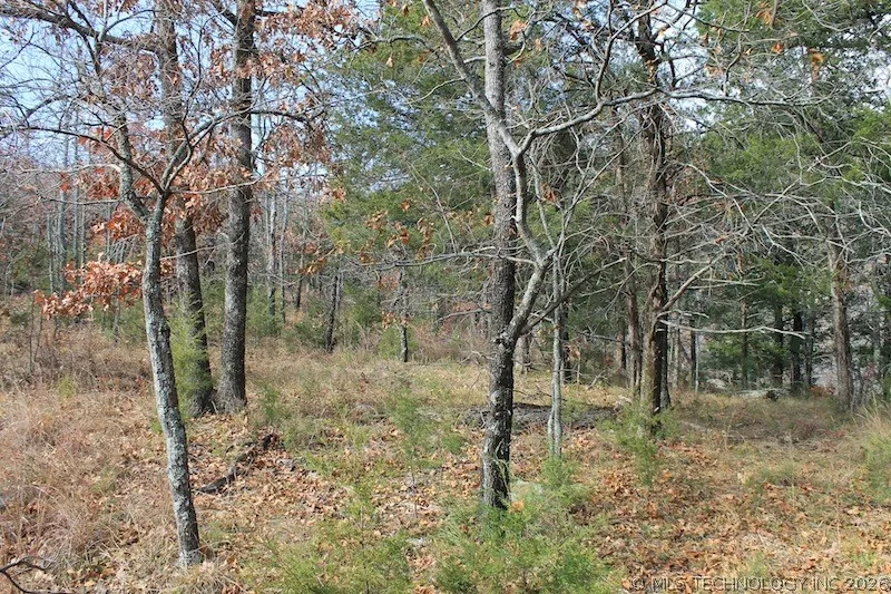 Indian Ridge Pittsburg, OK 74560