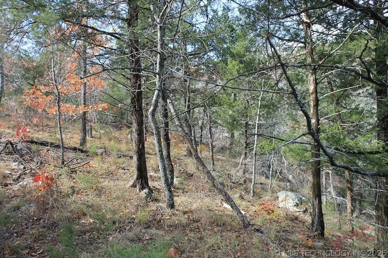 Indian Ridge Pittsburg, OK 74560