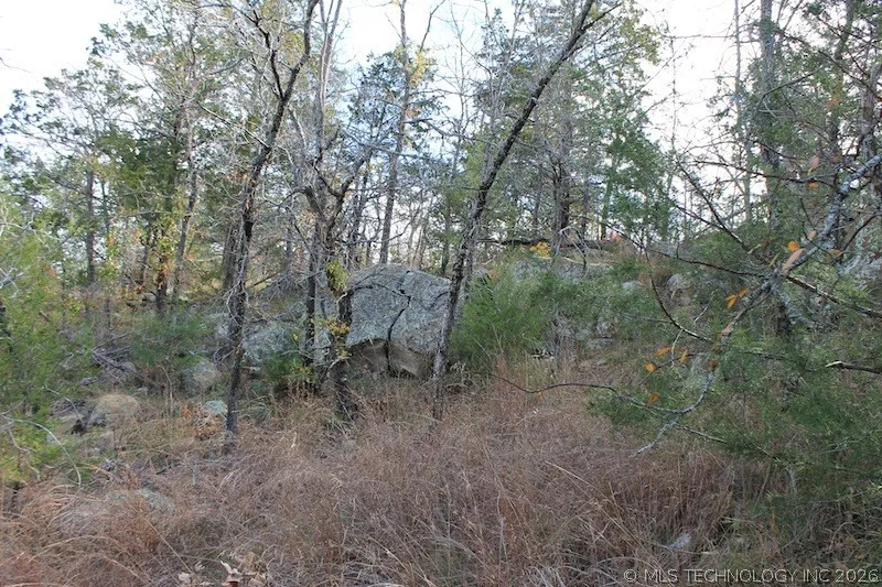 Indian Ridge Pittsburg, OK 74560