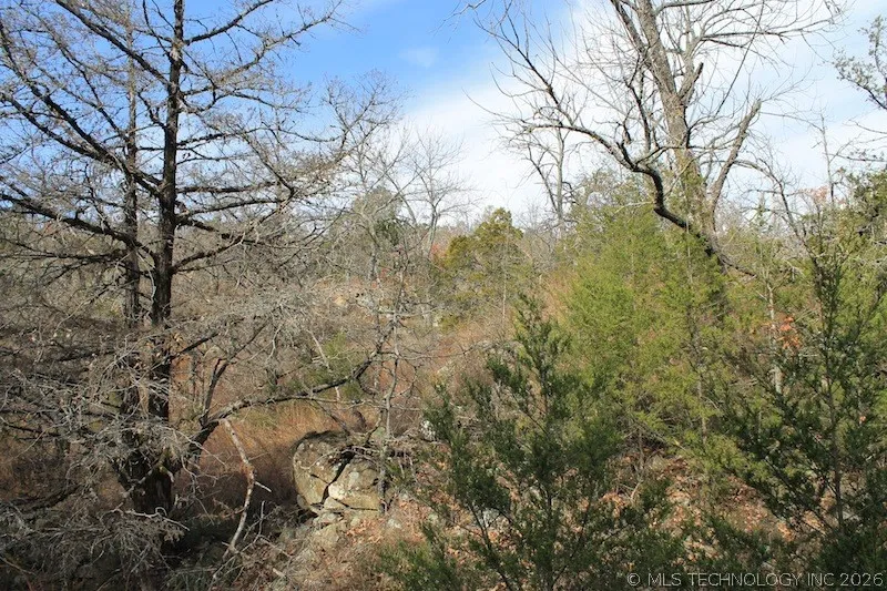 Indian Ridge Pittsburg, OK 74560