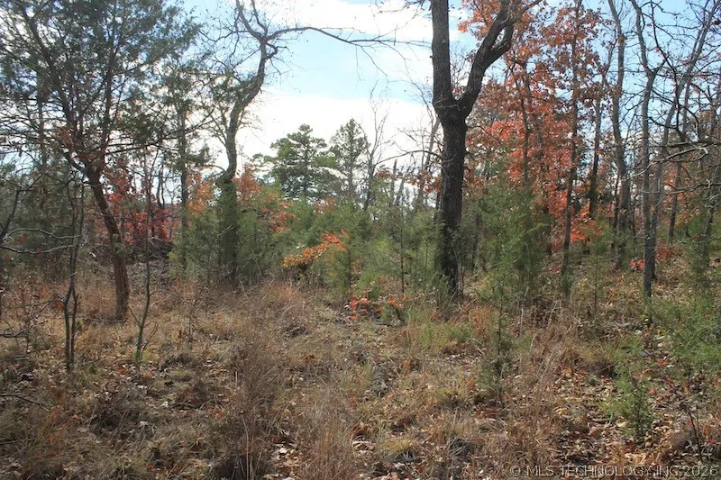 Indian Ridge Pittsburg, OK 74560