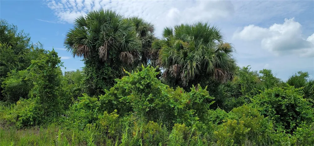 20366 NW 270TH STREET Okeechobee, FL 34972