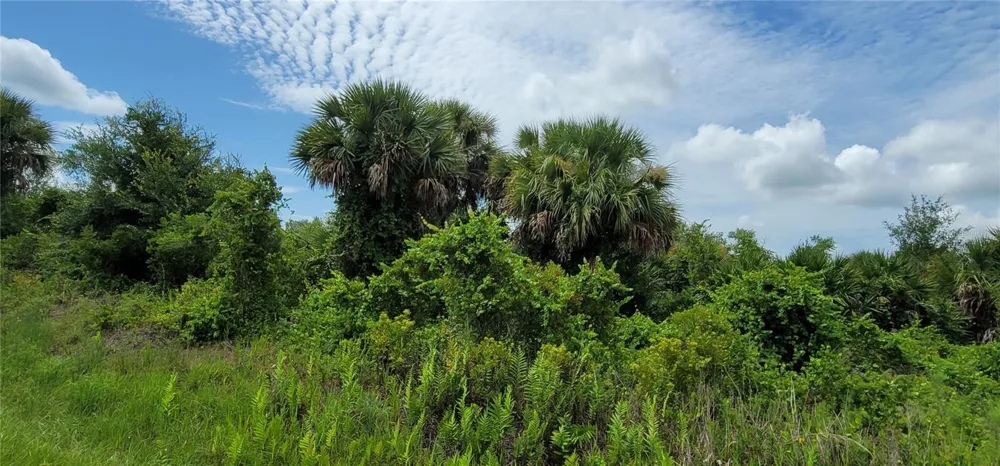 20366 NW 270TH STREET Okeechobee, FL 34972