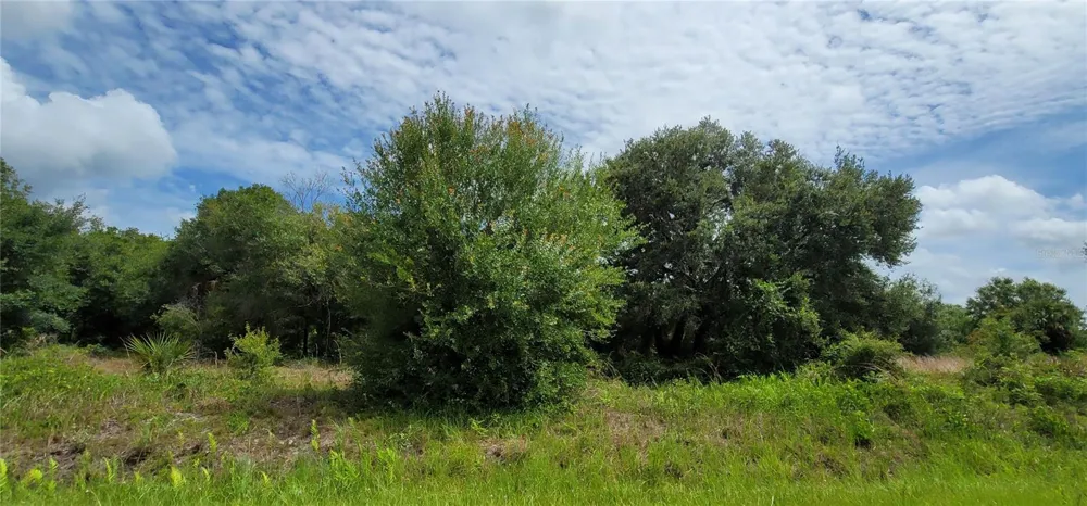 20366 NW 270TH STREET Okeechobee, FL 34972