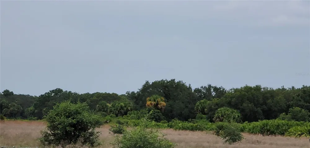 20366 NW 270TH STREET Okeechobee, FL 34972