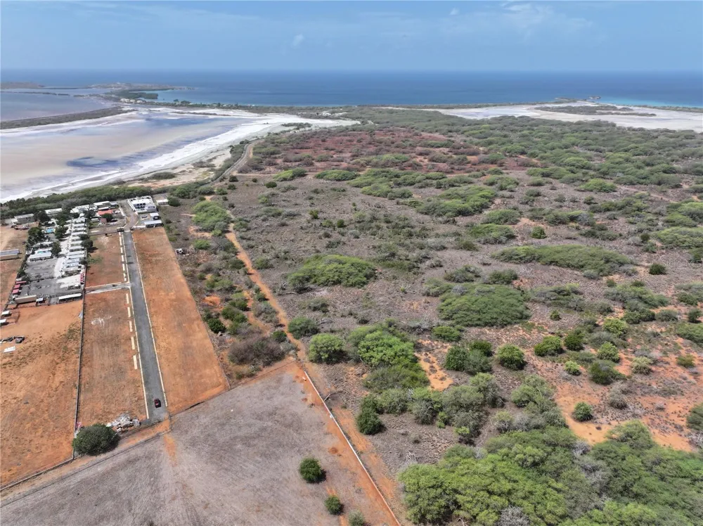 SR 301 km 9.9 int SECTOR LAS SALINAS BARRIO BOQUERON #D-2 Cabo Rojo, PR 00623