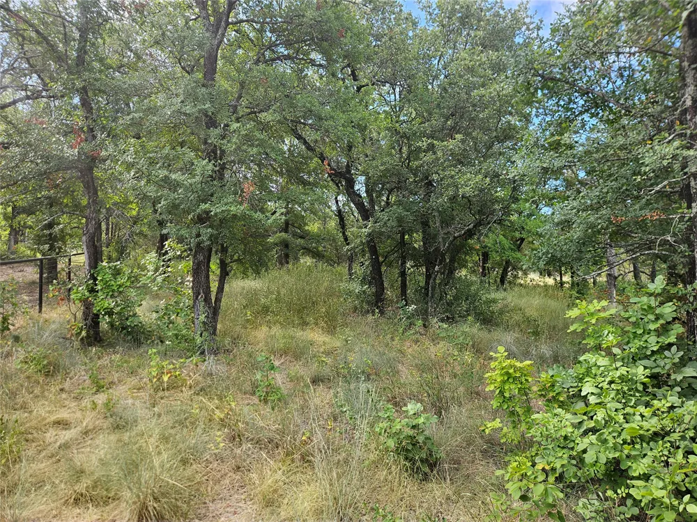 4017 Fall Creek Drive Weatherford, TX 76087