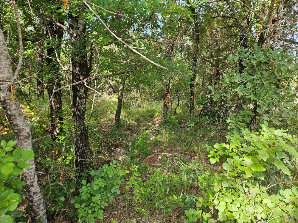4017 Fall Creek Drive Weatherford, TX 76087