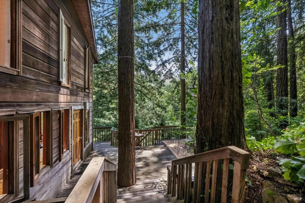 602 Ralston Avenue Mill Valley, CA 94941