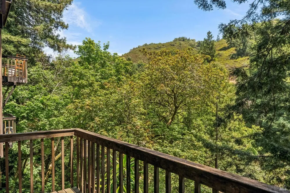 602 Ralston Avenue Mill Valley, CA 94941