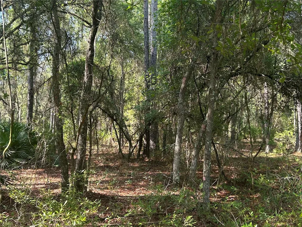 709 GEORGETOWN DENVER ROAD Crescent City, FL 32112