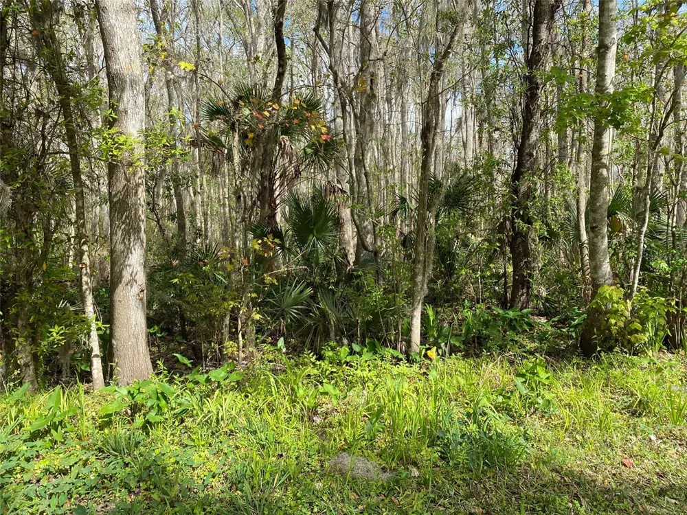 709 GEORGETOWN DENVER ROAD Crescent City, FL 32112