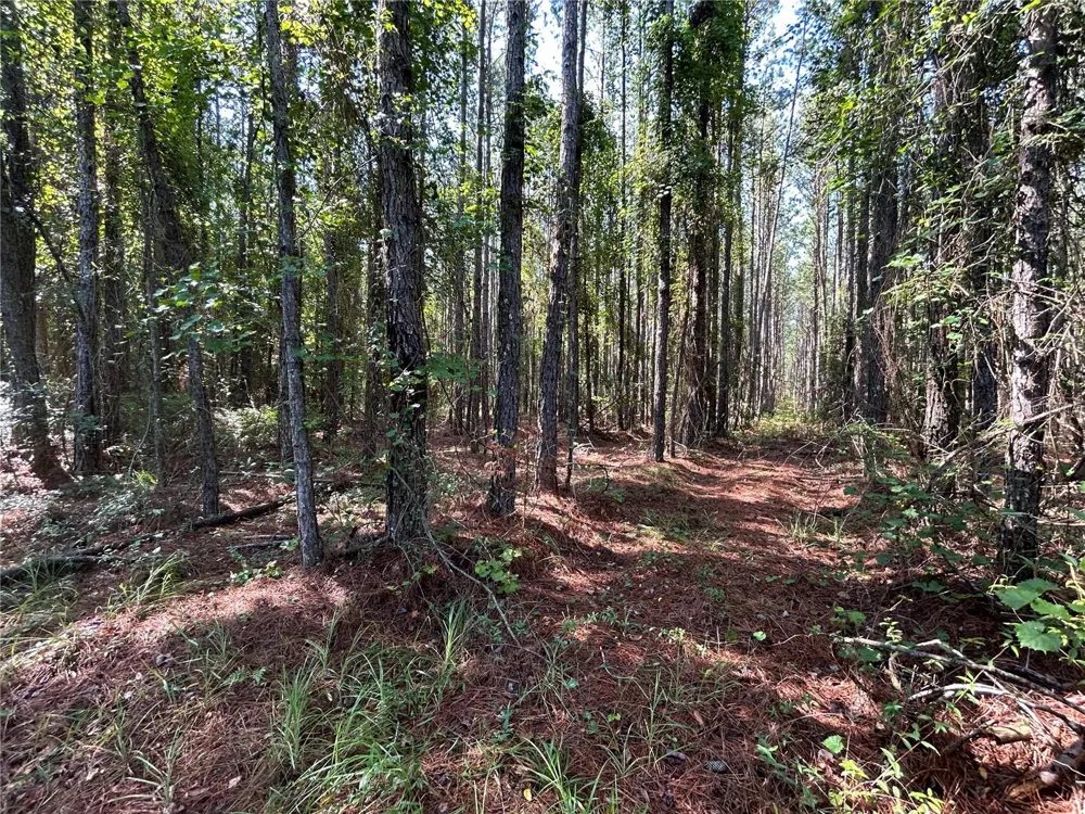 709 GEORGETOWN DENVER ROAD Crescent City, FL 32112
