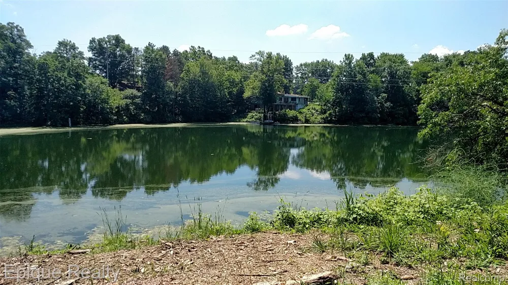 300 W Dewey Road Owosso Charter Township, MI 48867