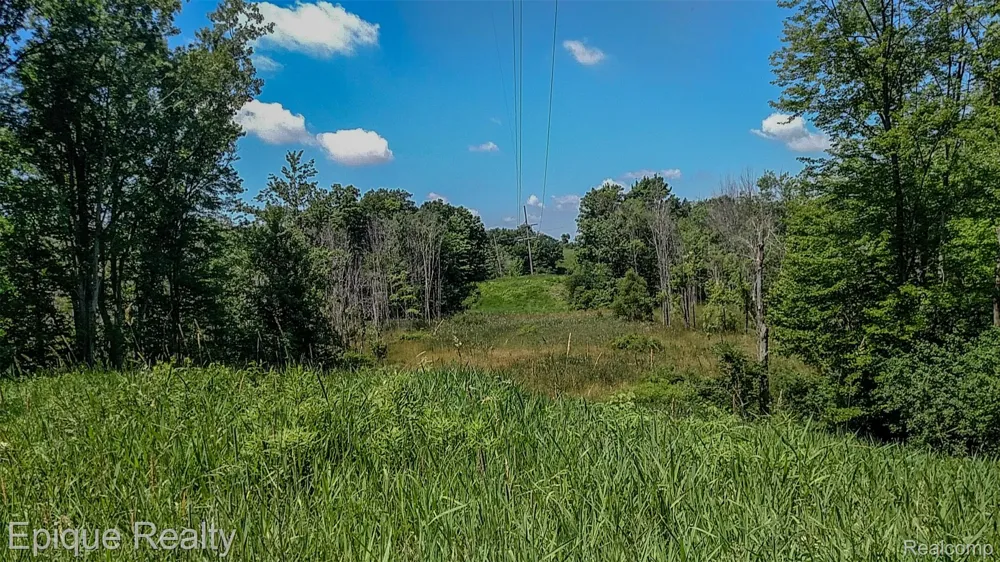 300 W Dewey Road Owosso Charter Township, MI 48867
