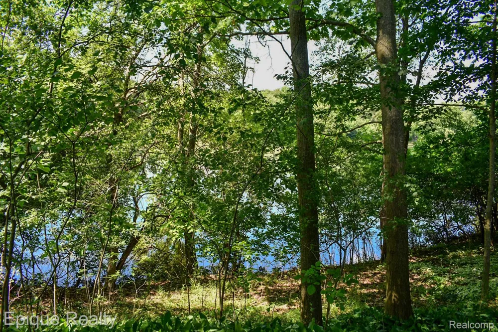 300 W Dewey Road Owosso Charter Township, MI 48867