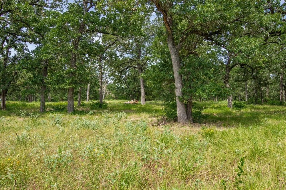13172 Jackrabbit Lane Bryan, TX 77808