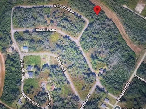 1991 WALCOTT LOOP
