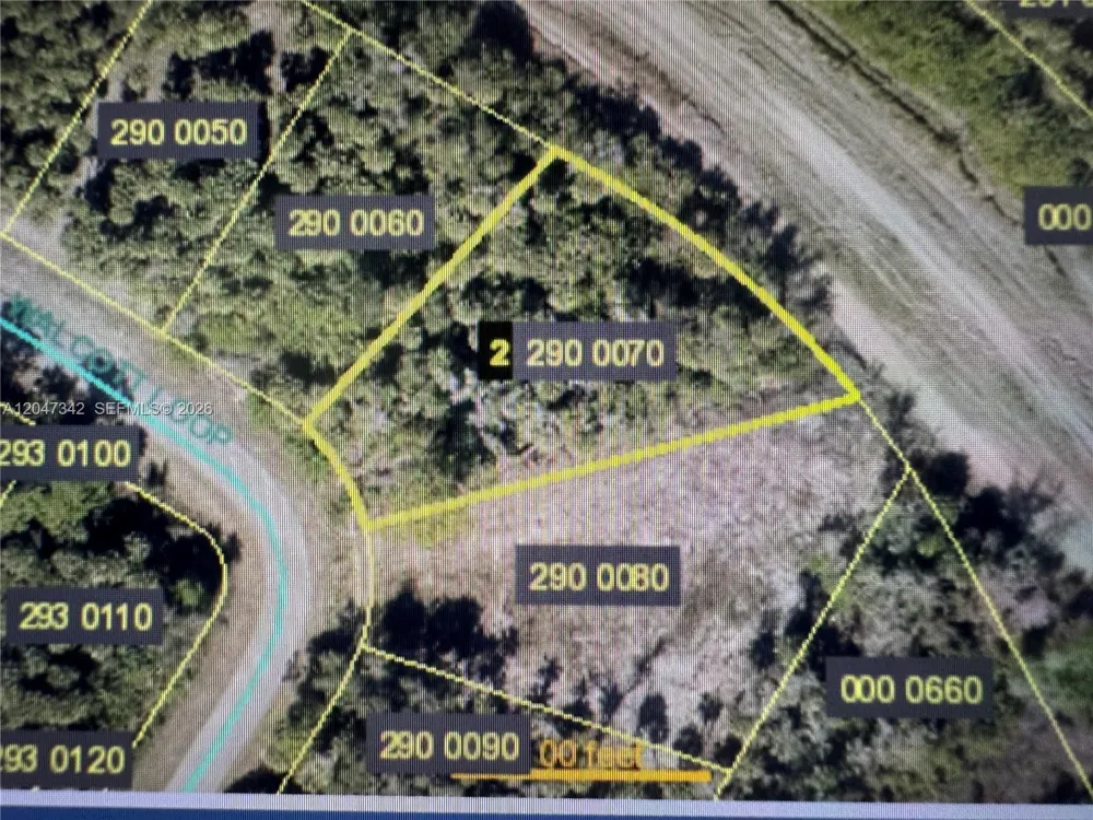 1991 WALCOTT LOOP Lehigh Acres, FL 33972