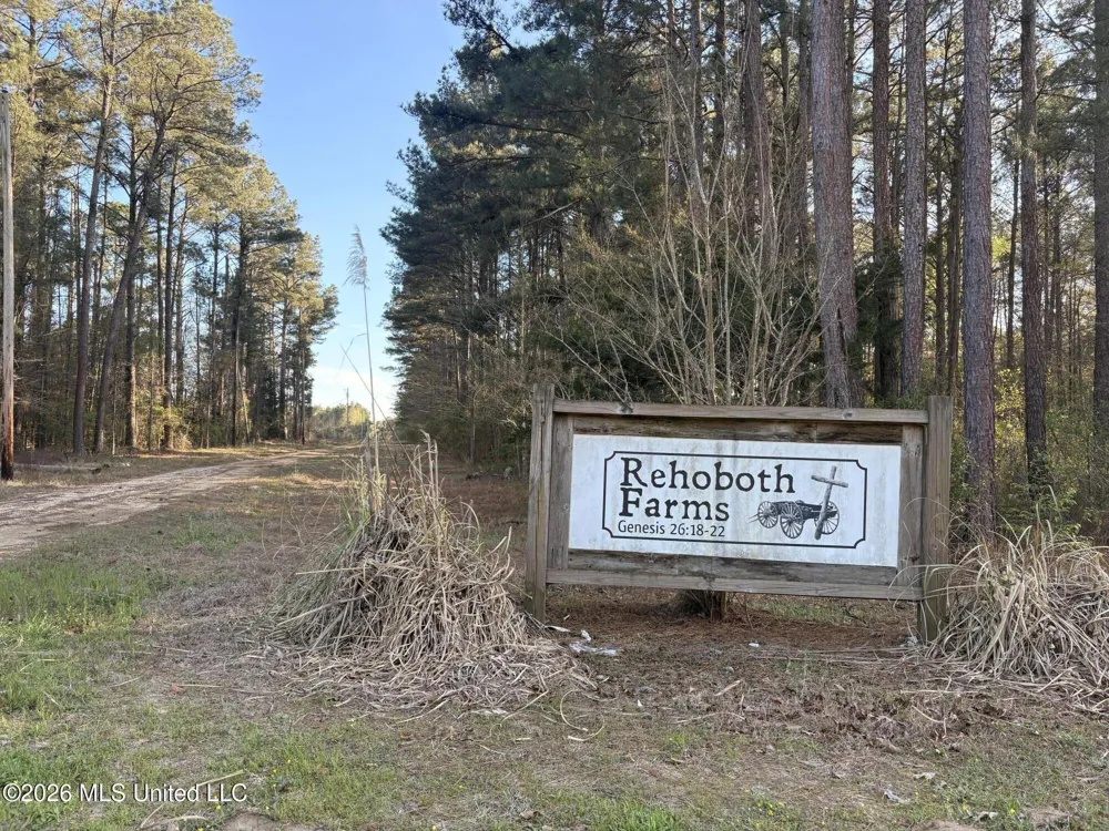 337 J C Prestage Road Pelahatchie, MS 39145