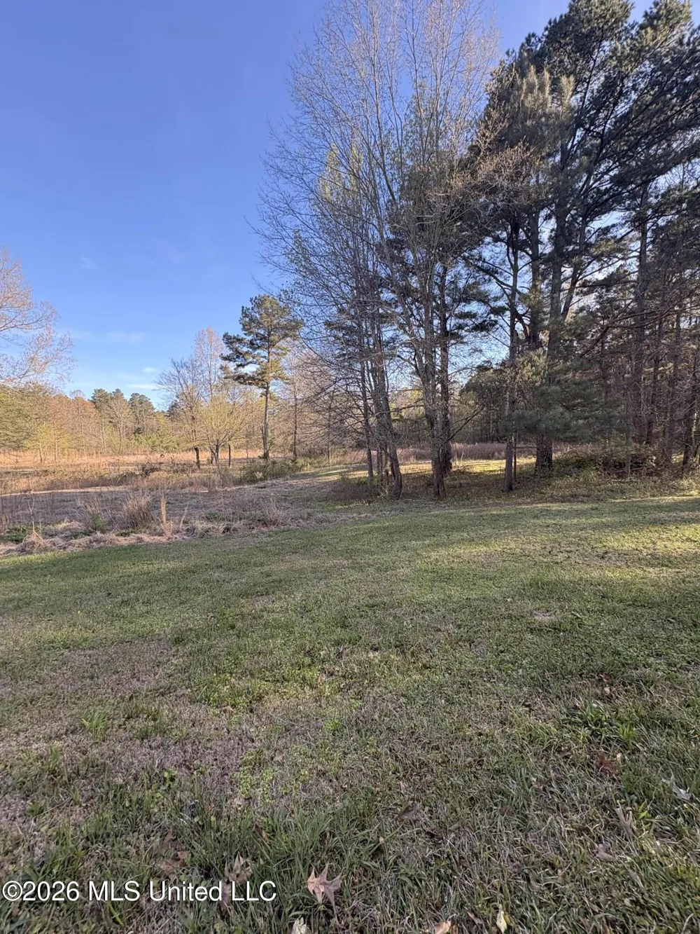 337 J C Prestage Road Pelahatchie, MS 39145