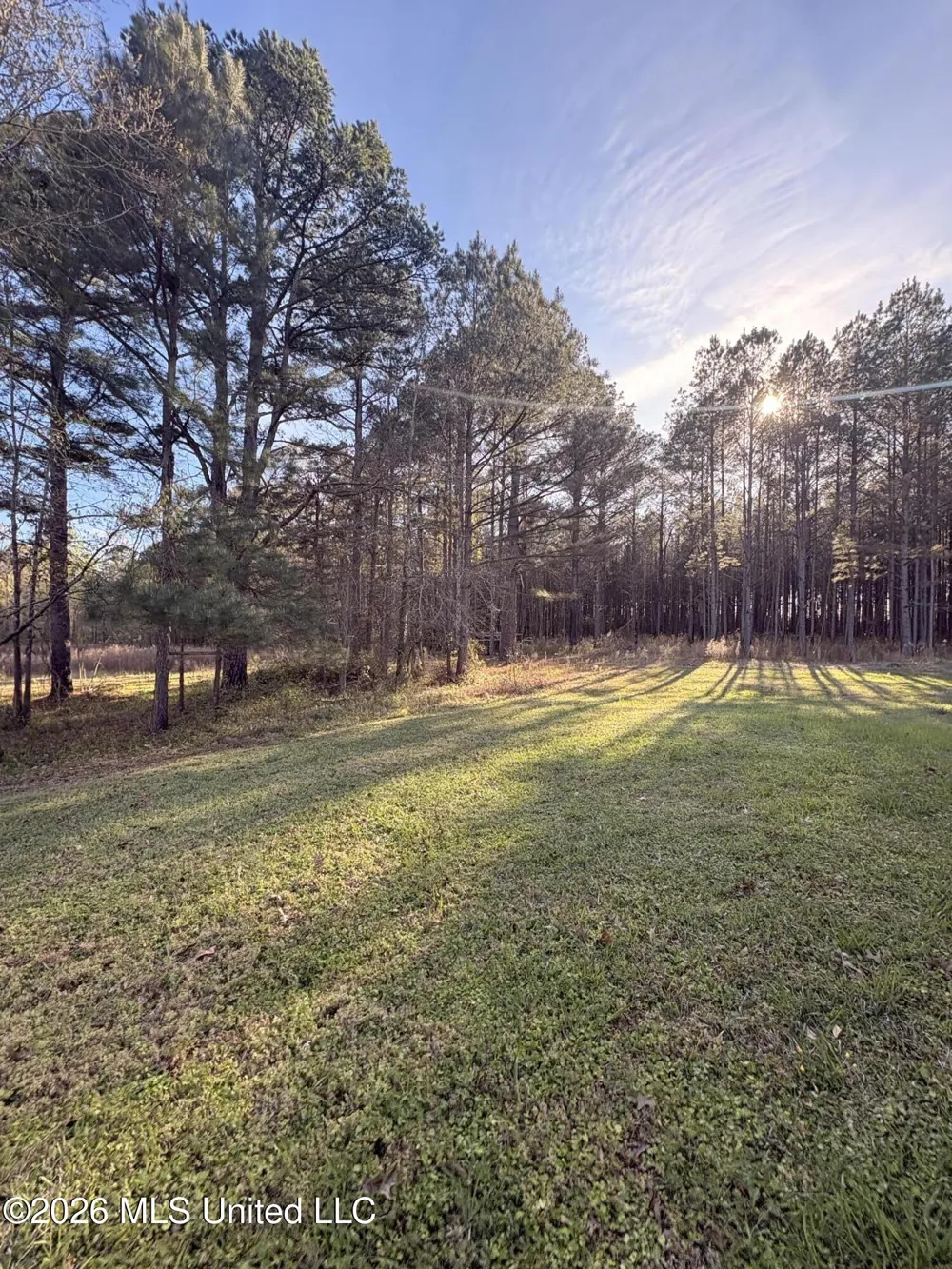 337 J C Prestage Road Pelahatchie, MS 39145