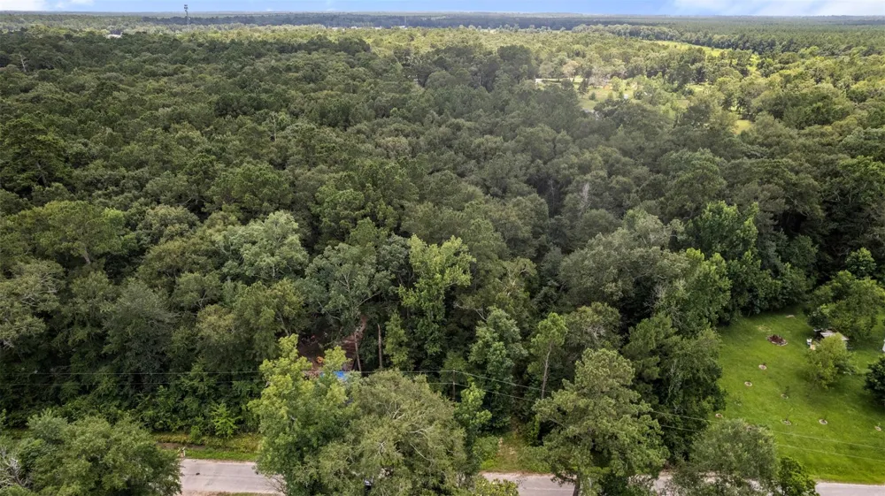 Sherwood Drive Shepherd, TX 77371