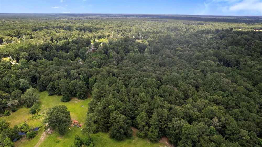 Sherwood Drive Shepherd, TX 77371