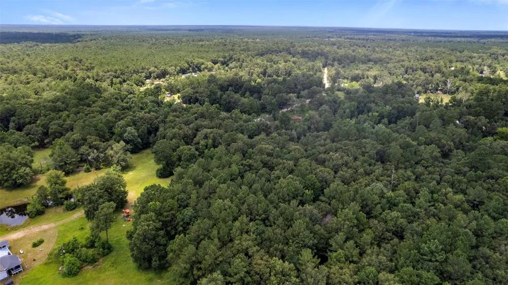 Sherwood Drive Shepherd, TX 77371