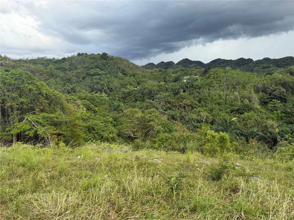 PR 6684 BUENA VISTA KM HM 2.5 Morovis, PR 00687