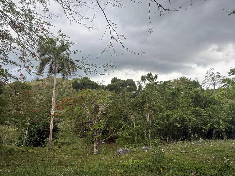 PR 6684 BUENA VISTA KM HM 2.5 Morovis, PR 00687