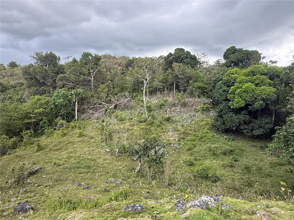 PR 6684 BUENA VISTA KM HM 2.5 Morovis, PR 00687